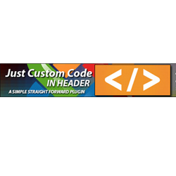 Just Custom Code in Header 