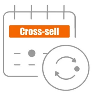 ochSubscriptions - Cross-sell 