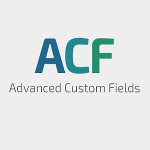 Advanced Custom Fields-14