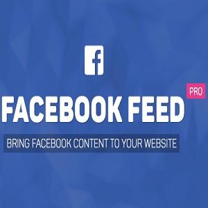 Facebook Feed-13