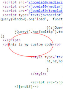 Just Custom Code in Header 